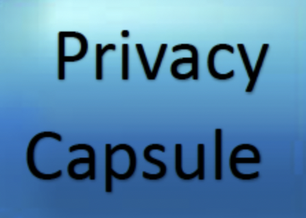 Privacy Capsule: Privacy in the 1890